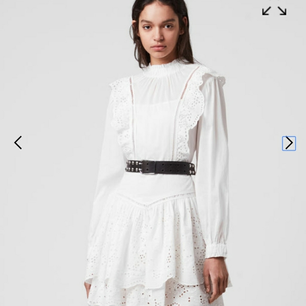 NWT All Saints AISLYN BROIDERIE DRESS sz 4